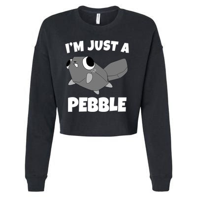 Dandys World Pebble Cropped Pullover Crew