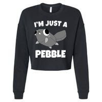 Dandys World Pebble Cropped Pullover Crew