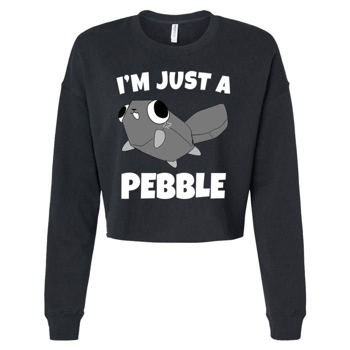 Dandys World Pebble Cropped Pullover Crew