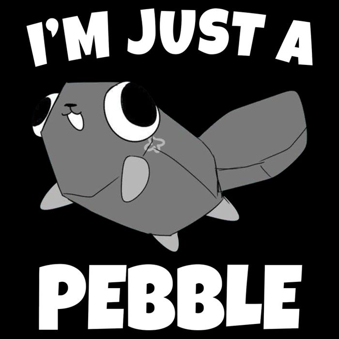 Dandys World Pebble Womens T-Shirt
