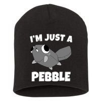 Dandys World Pebble Short Acrylic Beanie