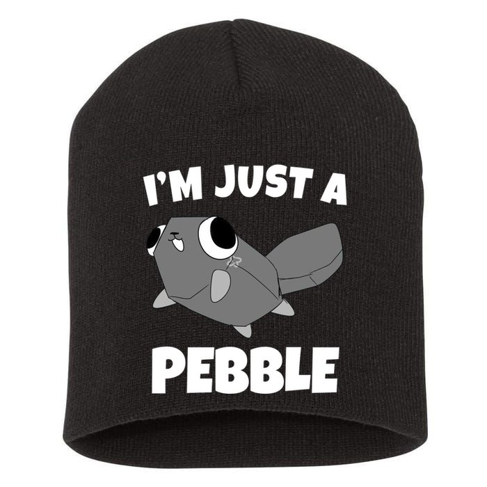 Dandys World Pebble Short Acrylic Beanie