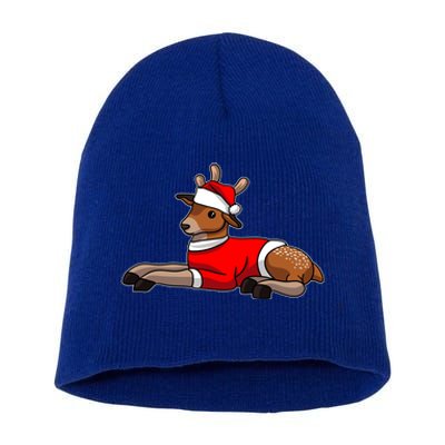 Deer Wearing Santa Hat And Sweater Christmas Gift Short Acrylic Beanie