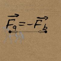 Design With Sir Isaac Newtons Third Law Cotton Canvas Backpack