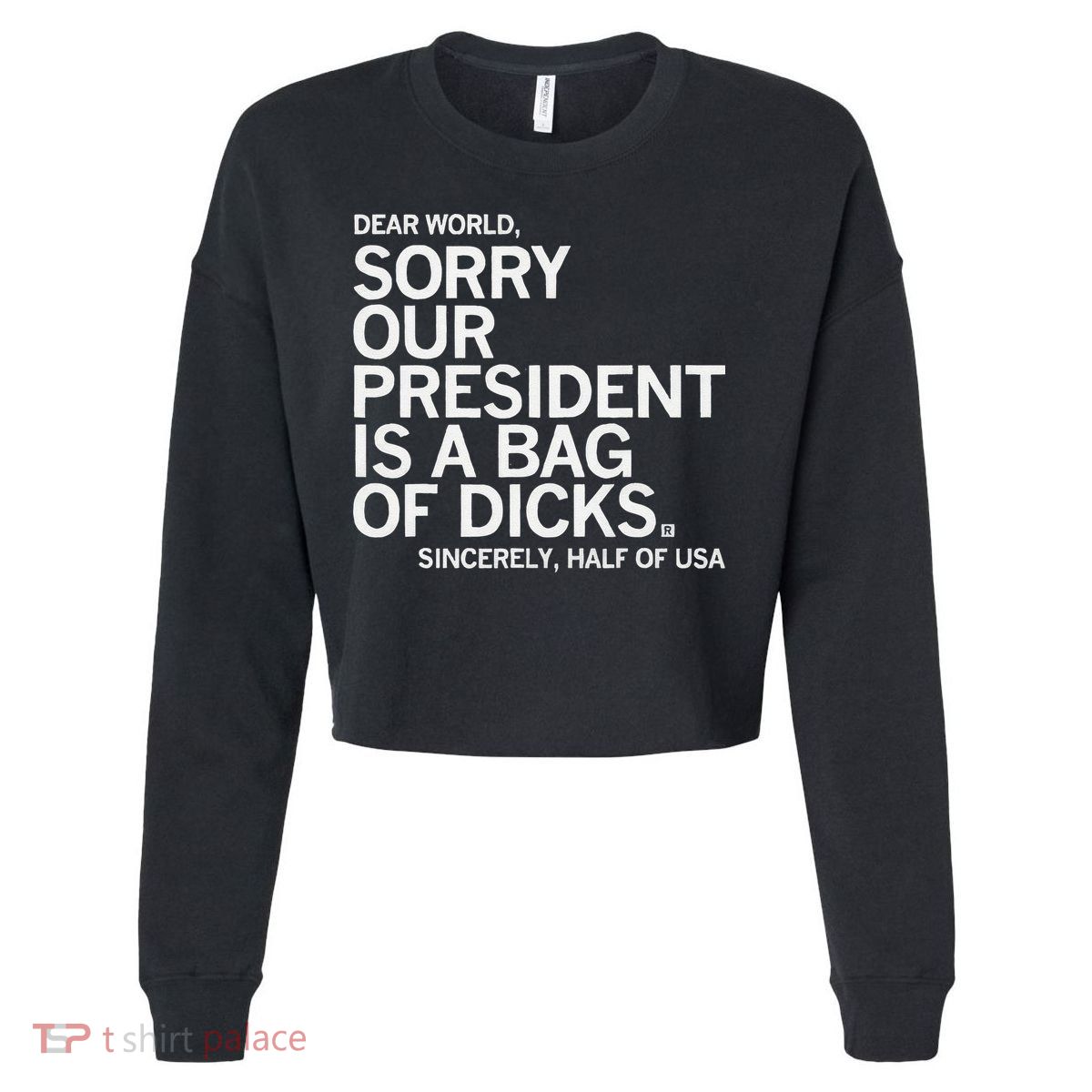 Dear World Sorry Our President Is A Bag Of Dicks Sincerely H Cropped Pullover Crew