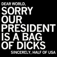 Dear World Sorry Our President Is A Bag Of Dicks Sincerely H 7-Panel Snapback Hat