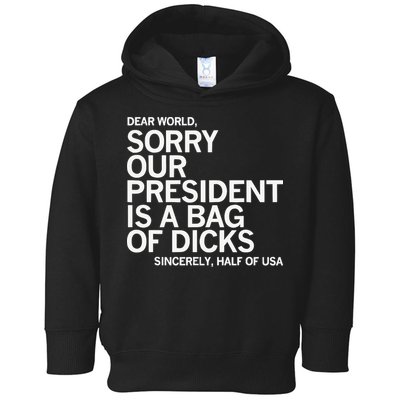 Dear World Sorry Our President Is A Bag Of Dicks Sincerely H Toddler Hoodie