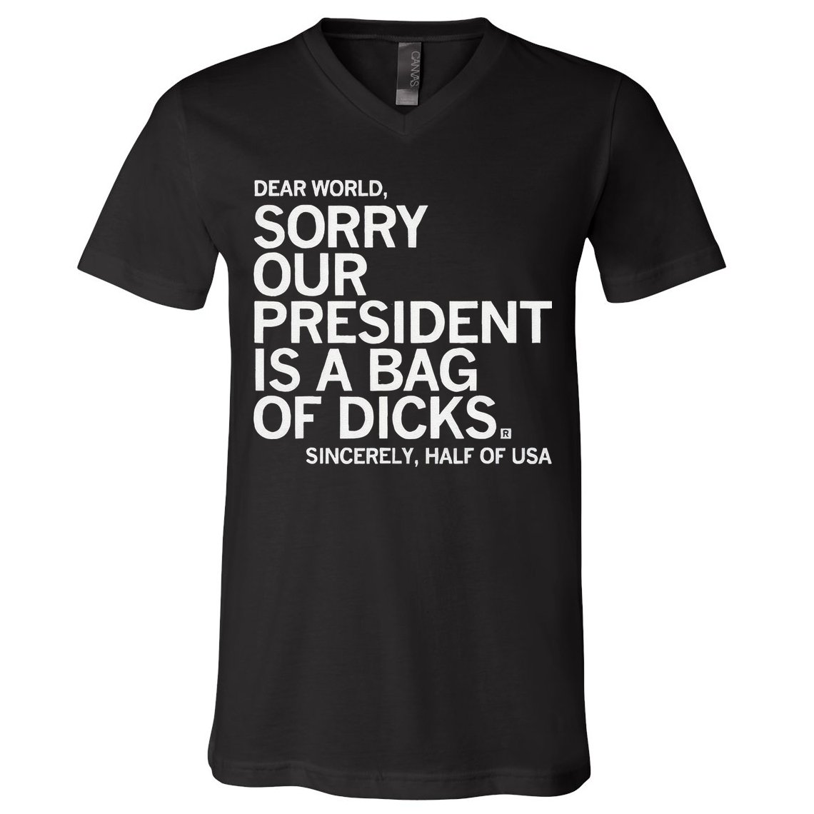 Dear World Sorry Our President Is A Bag Of Dicks Sincerely H V-Neck T-Shirt
