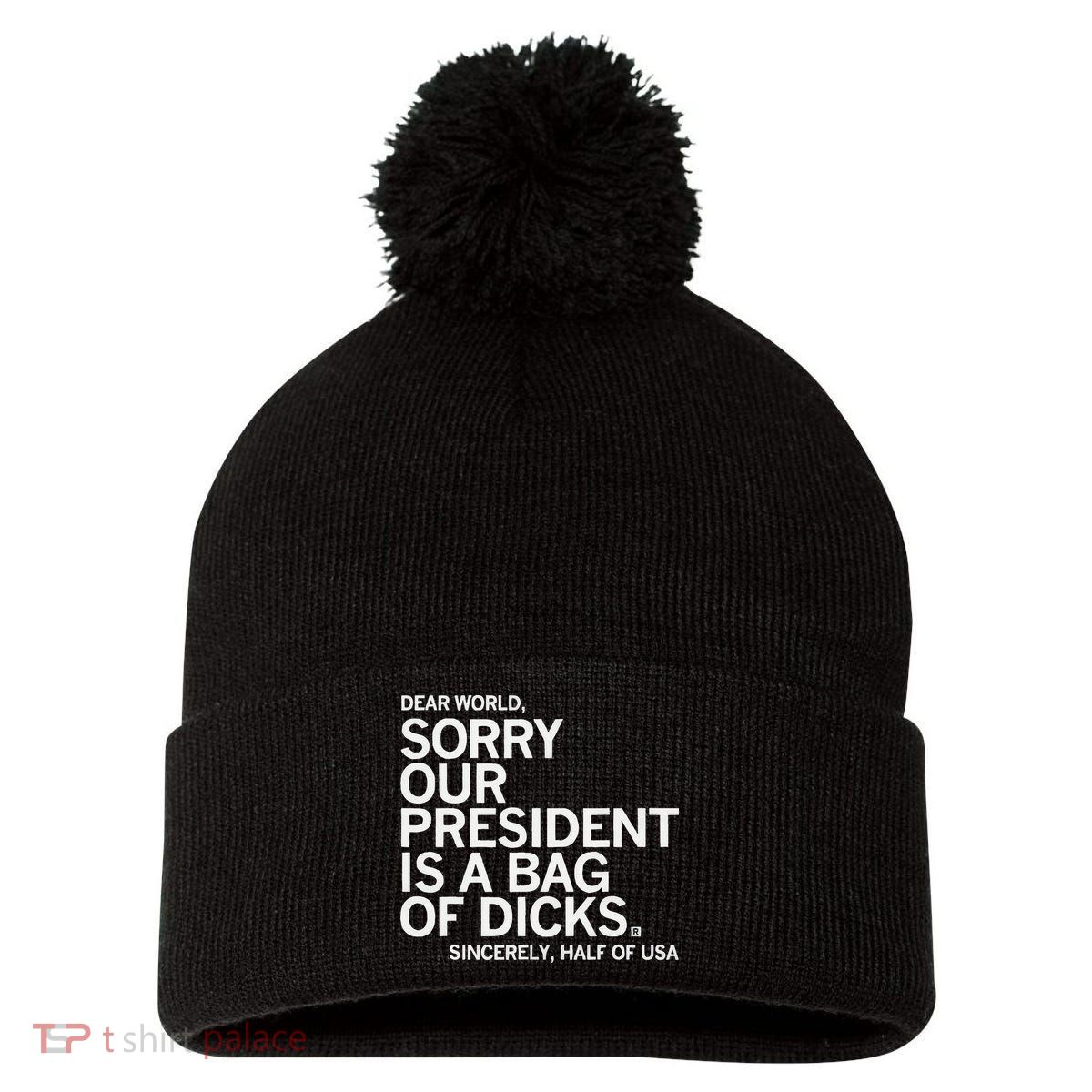 Dear World Sorry Our President Is A Bag Of Dicks Sincerely H Pom Pom 12in Knit Beanie