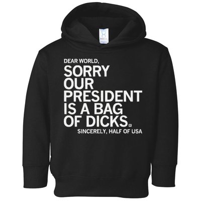 Dear World Sorry Our President Is A Bag Of Dicks Sincerely H Toddler Hoodie