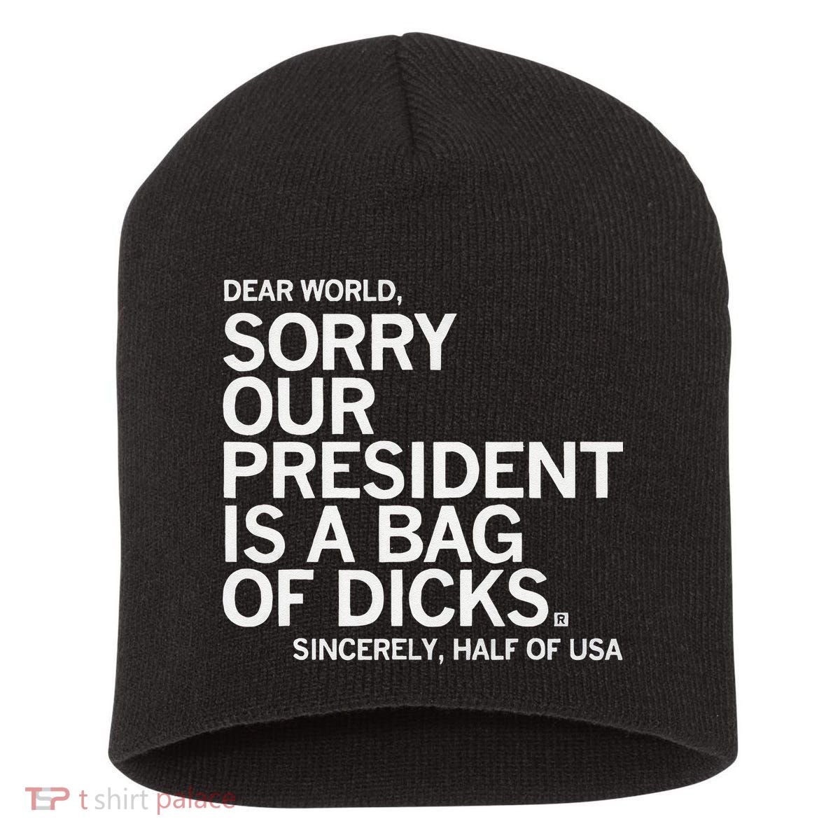 Dear World Sorry Our President Is A Bag Of Dicks Sincerely H Short Acrylic Beanie