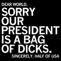 Dear World Sorry Our President Is A Bag Of Dicks Funny Meme Wool Snapback Cap