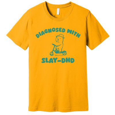 Diagnosed With Slay Dhd Premium T-Shirt