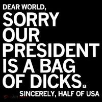 Dear World Sorry Our President Is A Bag Of Dicks Sincerely Premium T-Shirt