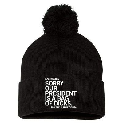 Dear World Sorry Our President Is A Bag Of Dicks Sincerely Pom Pom 12in Knit Beanie