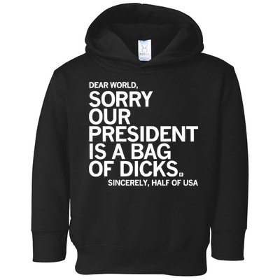 Dear World Sorry Our President Is A Bag Of Dicks Sincerely Toddler Hoodie