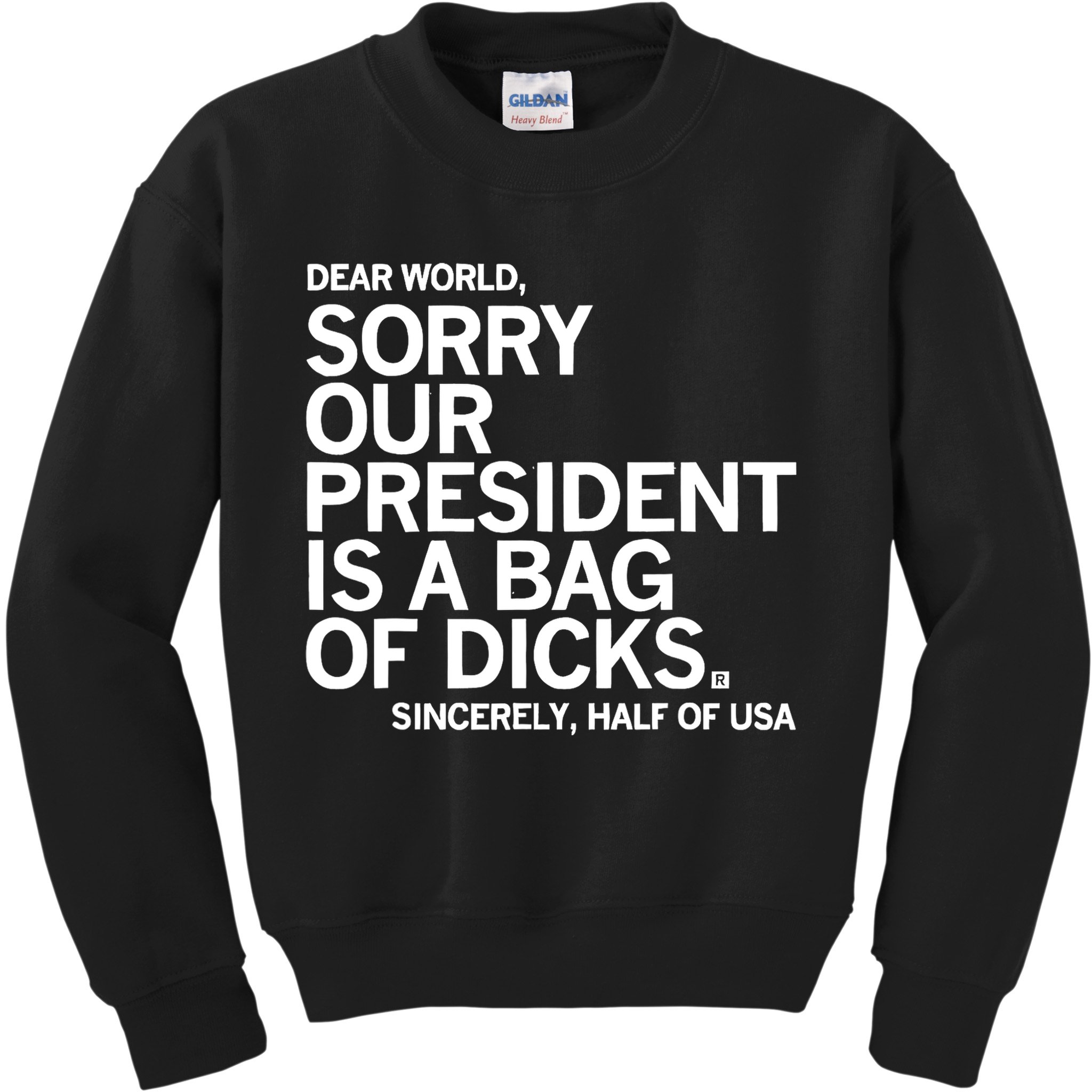 Dear World Sorry Our President Is A Bag Of Dicks Sincerely Kids Sweatshirt