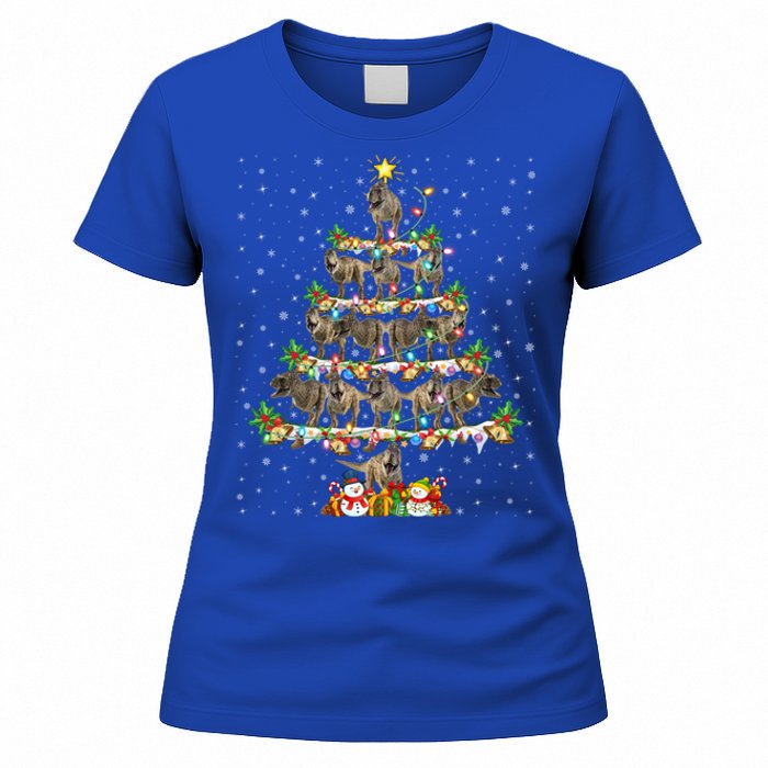 Dinosaur Xmas Lighting Santa T Rex Dinosaur Christmas Tree Cool Gift Women's T-Shirt