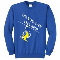 Do You Even Lift Bro Skier Ski Lover Gift Tall Sweatshirt