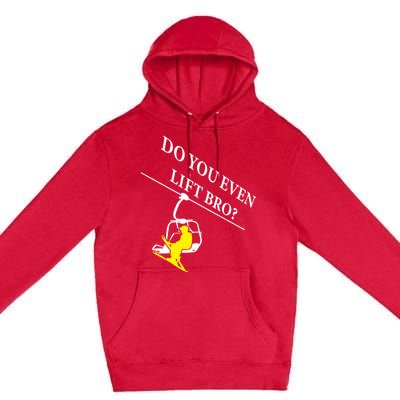 Do You Even Lift Bro Skier Ski Lover Gift Premium Pullover Hoodie