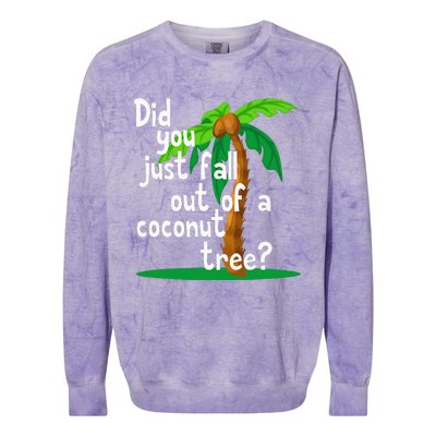 Did You Just Fall Out Of A Coconut Tree Colorblast Crewneck Sweatshirt