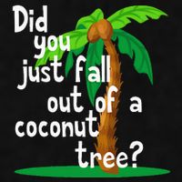 Did You Just Fall Out Of A Coconut Tree Ladies PosiCharge Tri-Blend Wicking Tank