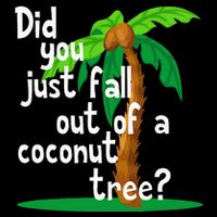 Did You Just Fall Out Of A Coconut Tree 16 in Basic Backpack