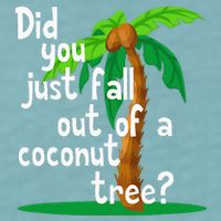 Did You Just Fall Out Of A Coconut Tree Sueded Cloud Jersey T-Shirt