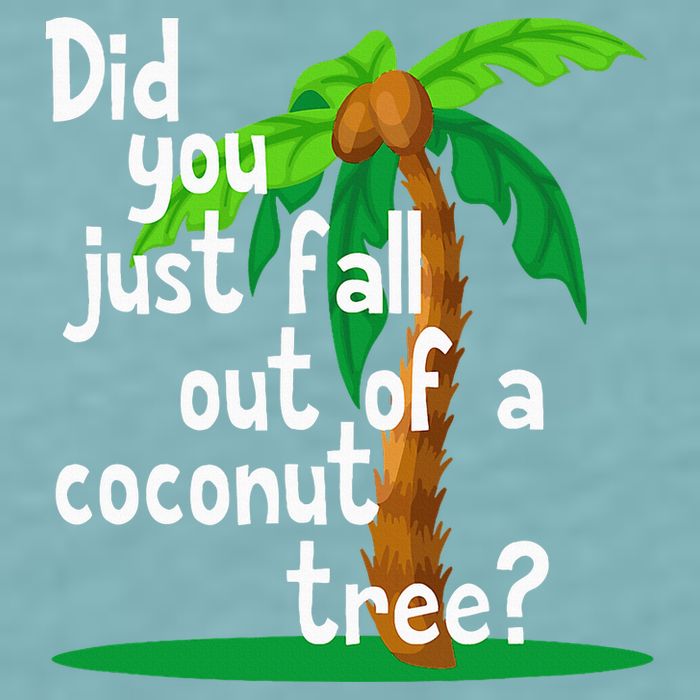 Did You Just Fall Out Of A Coconut Tree Sueded Cloud Jersey T-Shirt