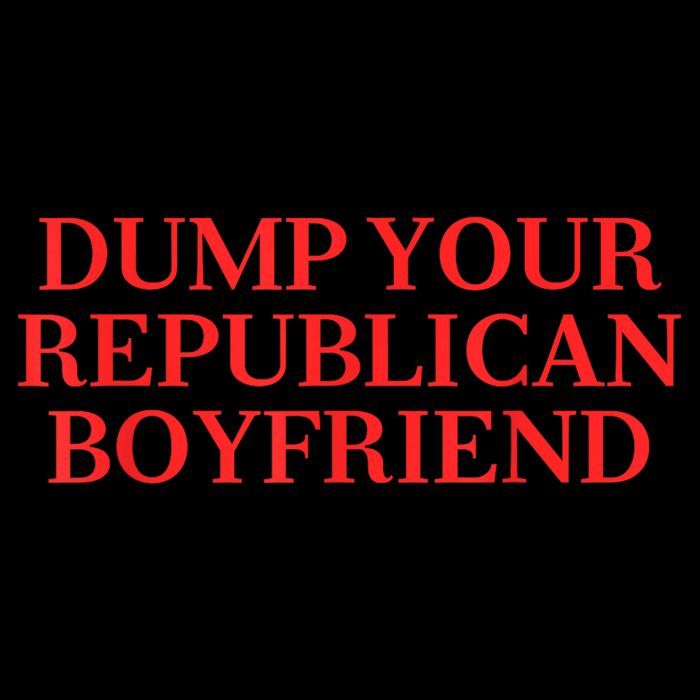 Dump Your Republican Boyfriend Funny Quote Poster