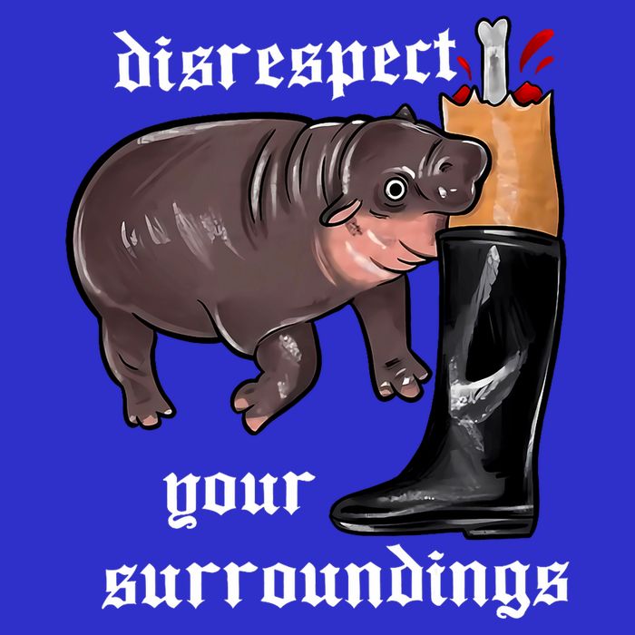 Disrespect Your Surroundings Moo Deng Funny Design T-Shirt
