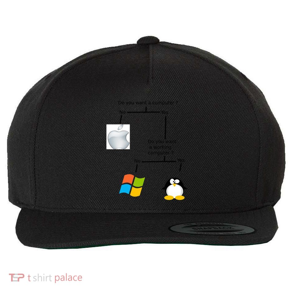 Do You Want A Computer Wool Snapback Cap