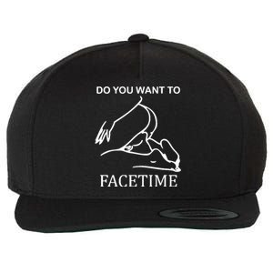 Do You Want To Facetime Wool Snapback Cap