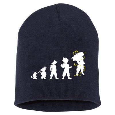 Dragonball Z Super Saiya Evolution Short Acrylic Beanie