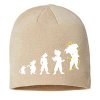 Dragonball Z Super Saiya Evolution Sustainable Beanie