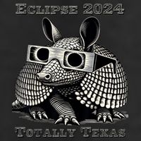 Eclipse 2024 Totally Texas 7 Panel Mesh Trucker Snapback Hat