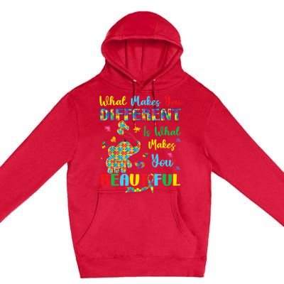 Elephant Autism Awareness Autistic For Mom Dads Wo Premium Pullover Hoodie