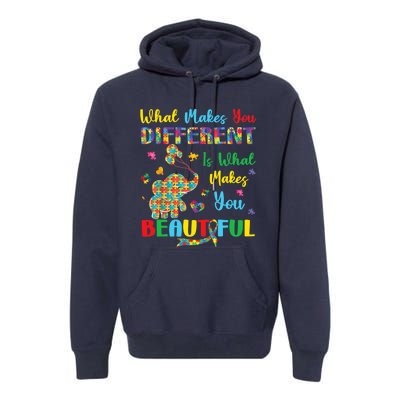 Elephant Autism Awareness Autistic For Mom Dads Wo Premium Hoodie