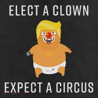 Elect A Clown Expect A Circus 11oz C Handle Ceramic Mug