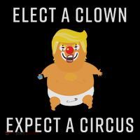 Elect A Clown Expect A Circus Pom Pom 12in Knit Beanie