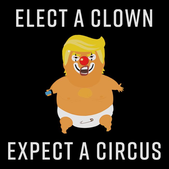 Elect A Clown Expect A Circus Toddler T-Shirt