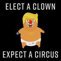 Elect A Clown Expect A Circus Zip Tote Bag