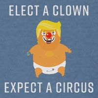 Elect A Clown Expect A Circus Garment-Dyed Sweatshirt