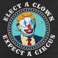 Elect A Clown Expect A Circus Anti Trump Adult Drive Performance Visor
