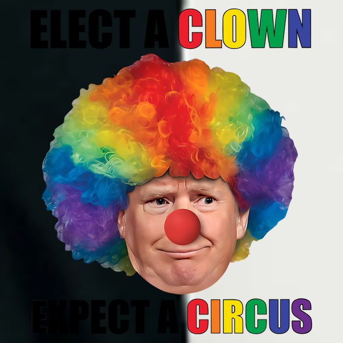 Elect A Clown Expect A Circus Infant Baby Jersey Bodysuit
