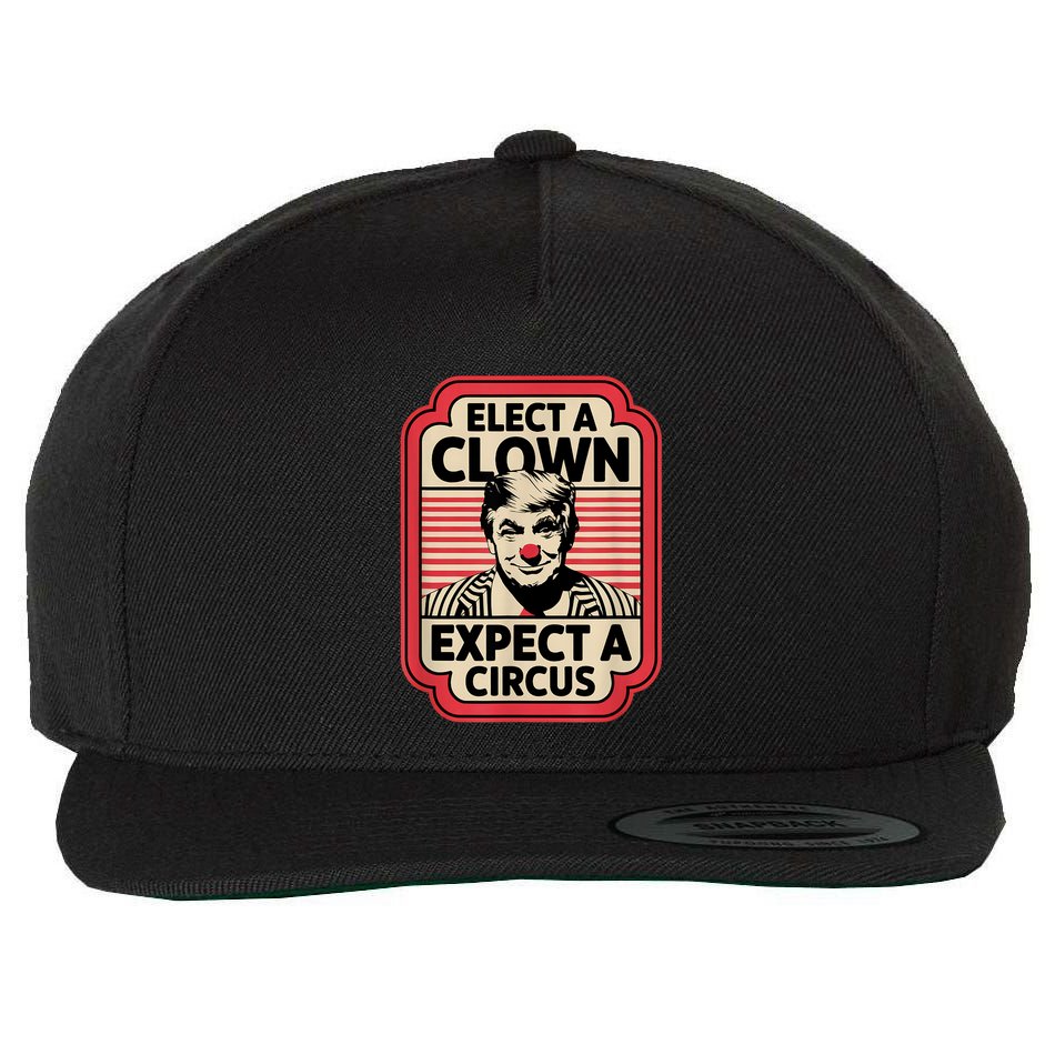 Elect A Clown Expect A Circus Impeach Trump Anti Trump Wool Snapback Cap
