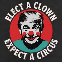 Elect A Clown Expect A Circus Impeach Trump Anti Trump  7 Panel Mesh Trucker Snapback Hat