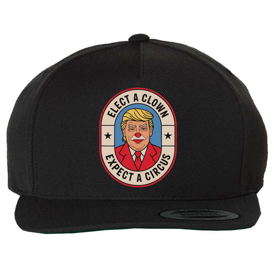Elect A Clown Expect A Circus Impeach Trump Anti Trump  Wool Snapback Cap