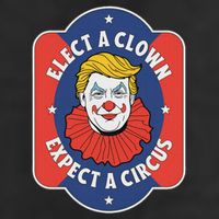 Elect A Clown Expect A Circus Impeach Trump Anti Trump 7 Panel Mesh Trucker Snapback Hat