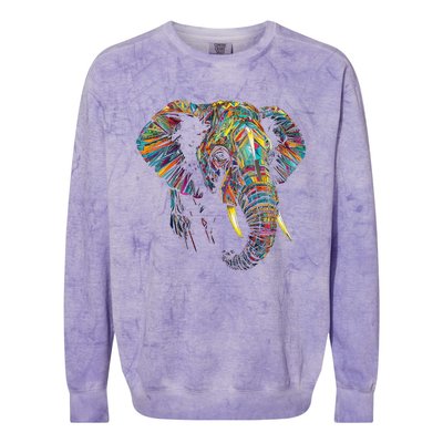 Elephant Animal Colourful Zoo Art Elephant Colorblast Crewneck Sweatshirt